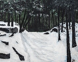 Peacefulness in the woods.